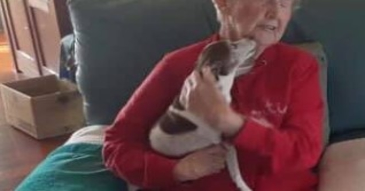 85 år gammel kvinnes hund går bort, men ingen vil la henne adoptere en ny hund