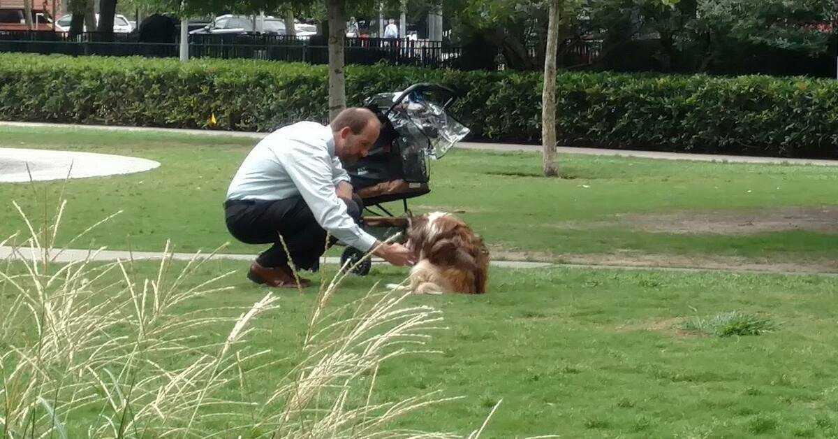 Eieren tar sin blinde hund ut av barnevognen, trodde ingen ser på ham når han bøyer seg ned