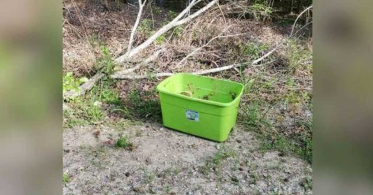 Folk finner det tristeste i denne boksen på en 90-graders dag