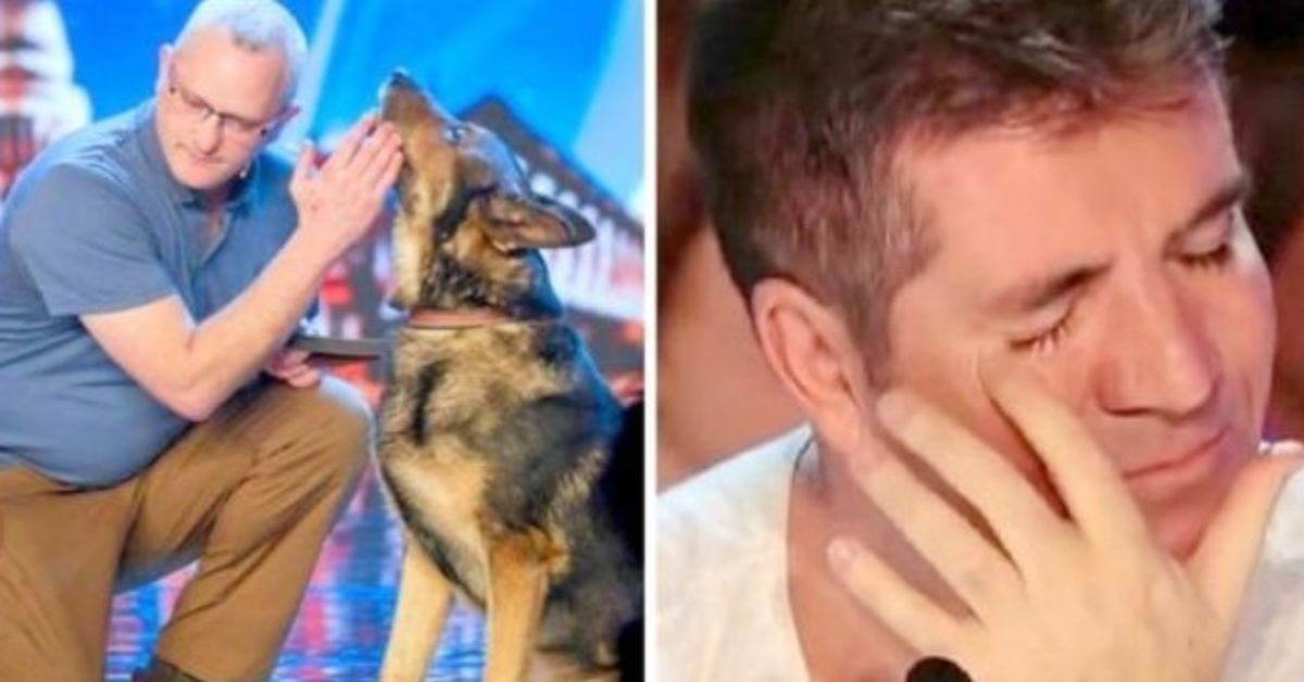 Politihund knivstukket i tjeneste, har Simon Cowell kjempet mot tårene på BGT